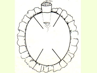 Manualidades DIY: Tortuga acerico-1198