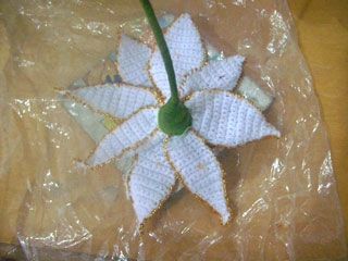 Manualidades Navidad: Flor de Nochebuena en crochet-1646